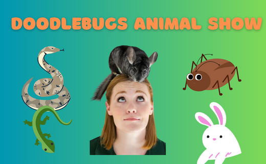 Doodlebugs Animal Show
