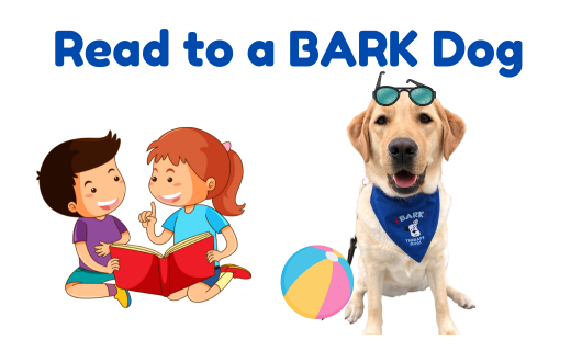 Bark Therapy Summer