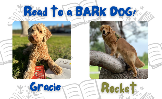 Read to a Bark Dog March 2024