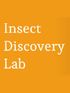 Insect Discovery Lab